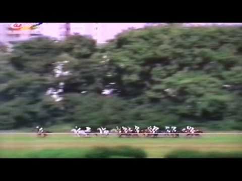 Nagroda Derby - 24.07.1994 - Batyskaf  (Pamir - Bajeczka)