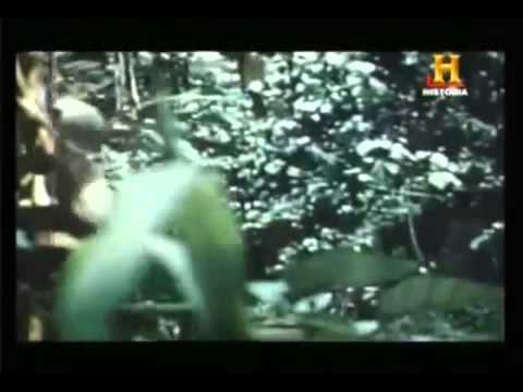 USS Enterprise (CV-6) 360°- Santa Cruz Sangrienta