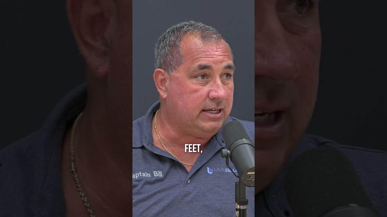 Getting a Captain's License is Too Easy #yachting