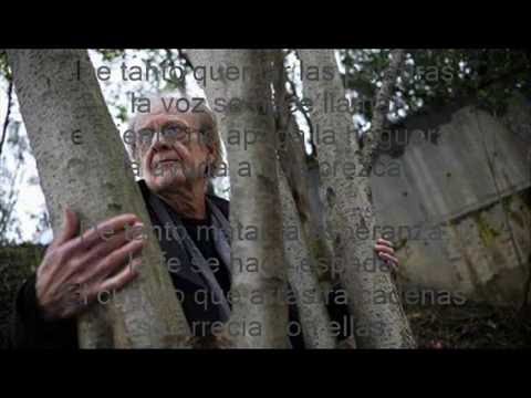 download lagu mp3 mp4 24 Canciones Breves, download lagu 24 Canciones Breves gratis, unduh video klip 24 Canciones Breves