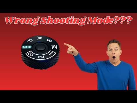 The Only 3 Shooting Modes You Need For Bird Photography (Explained Fast!!)