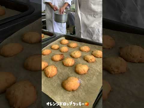 後期の調理学実習がスタート！学生たちの学びの現場から【Ver.1】
