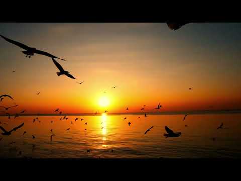 Cinematic Drone Compilation - One of Amazing FPV Drone Flying - 4K | 4K Beautiful places Aerial View