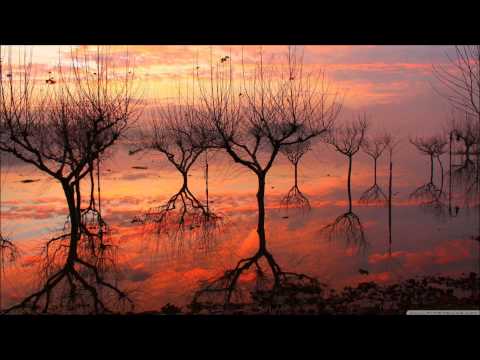 Enstasy - Fading Memories