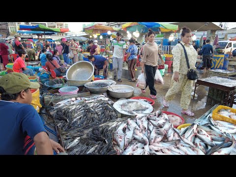 Phnom Penh Fish Market Morning Rush | Massive Wholesale Trade & Wet Market Life