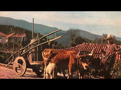 Cantares au Desafio Manuel Alves Peta e Manuel Pereira da Apúlia( O Melro )