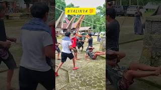 Download lagu Maballo (Kerbau) Unjuk Pesona Pada Tuan Barunya Mentirotiku Team mp3