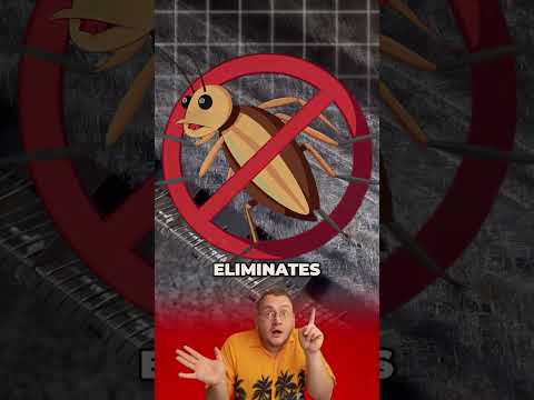 Roofers, do you install these top-tier ridge vents?