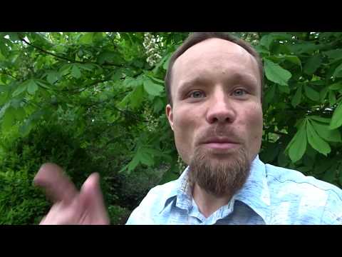 Billy Six – persönliche Einladung – Vortrag am 13. Mai 2019 bei der AfD-Fraktion in Kiel