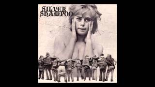 Silver Shampoo - Insect Eyes