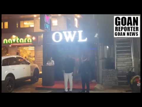 download lagu mp3 mp4 Owl Club Goa, download lagu Owl Club Goa gratis, unduh video klip Owl Club Goa