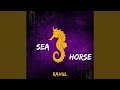 Sea Horse