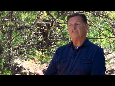 What Does the Term PSYCH-K® Stand For?