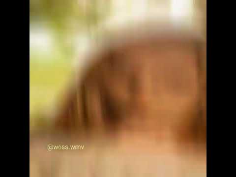 Liinaliiis v2 (Mood Edit) •Alight Motion•