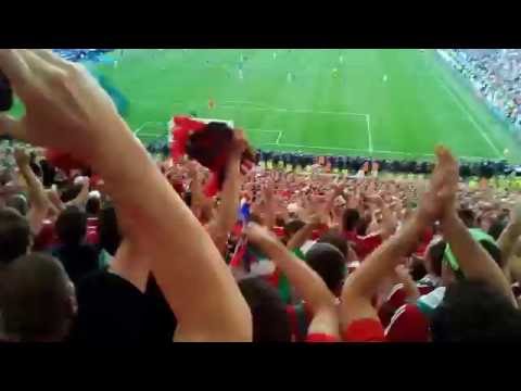 Hungary fans in Euphoria -  End of Iceland - Hungary 1-1 2016.06.18