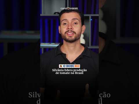 Silvânia lidera produção de tomate no Brasilidera produção de tomate no Brasil