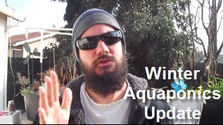 Aquaponics - Winter Update on my Backyard System