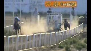 preview picture of video 'Carreras de Caballos, Arcelia, Gro. Accidente, Caida Pablo'