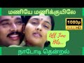 Manimaye Manikuyile Hd Video Song Nadodi Thentral Kartik Rangitha Ilaiaraja மணியேமணி