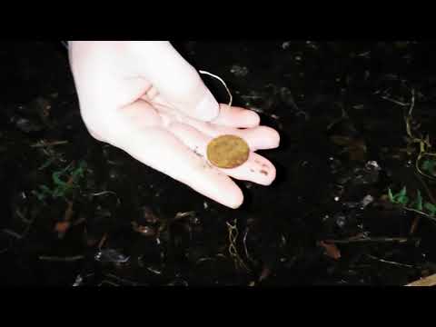 Sondeln - verlassener Spielplatz mit Nokta Makro Simplex