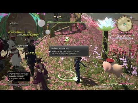 Final Fantasy XIV - A Day in the Life @ Tales of Eorzea (Matthia) 11/25/2019