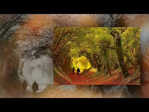 Bài tango cho người tình lỡ - Khánh Ly