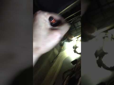 Easy fix for failed vacuum canister on Ford econoline vans
