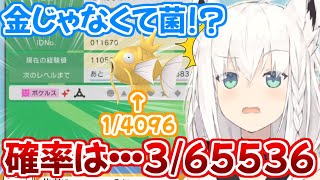 白上フブキさん、金コイよりレアな物を引き当てる【ホロライブ 切り抜き ポケルス 】
