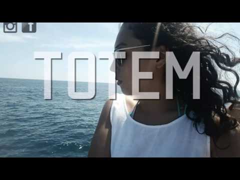 Alan Walker  (MASHUP) |TOTEM|