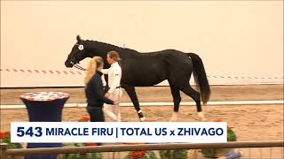 Katarzyna Milczarek s'équipe aux ventes KWPN online auction