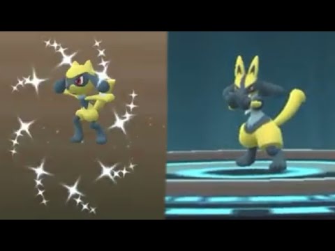 WE HATCHED SHINY RIOLU! POKEMON GO SHINY RIOLU EVOLVES INTO SHINY LUCARIO!