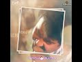 Vandanam Movie Mohanlal Romantic Status