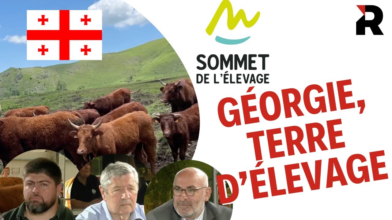 Focus sur la Géorgie, un pays d'élevage et de vigne