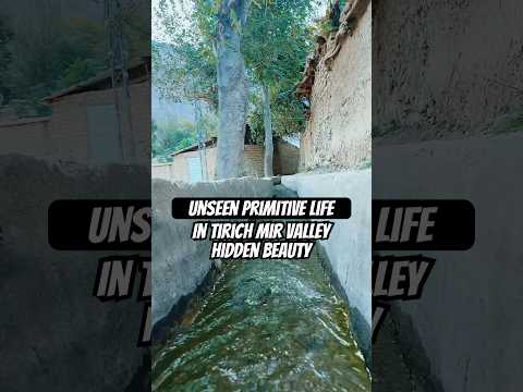 Unseen: Primitive Village Life Hidden in Tirich Mir Valley | Lost World of Hindukush #village #fyp