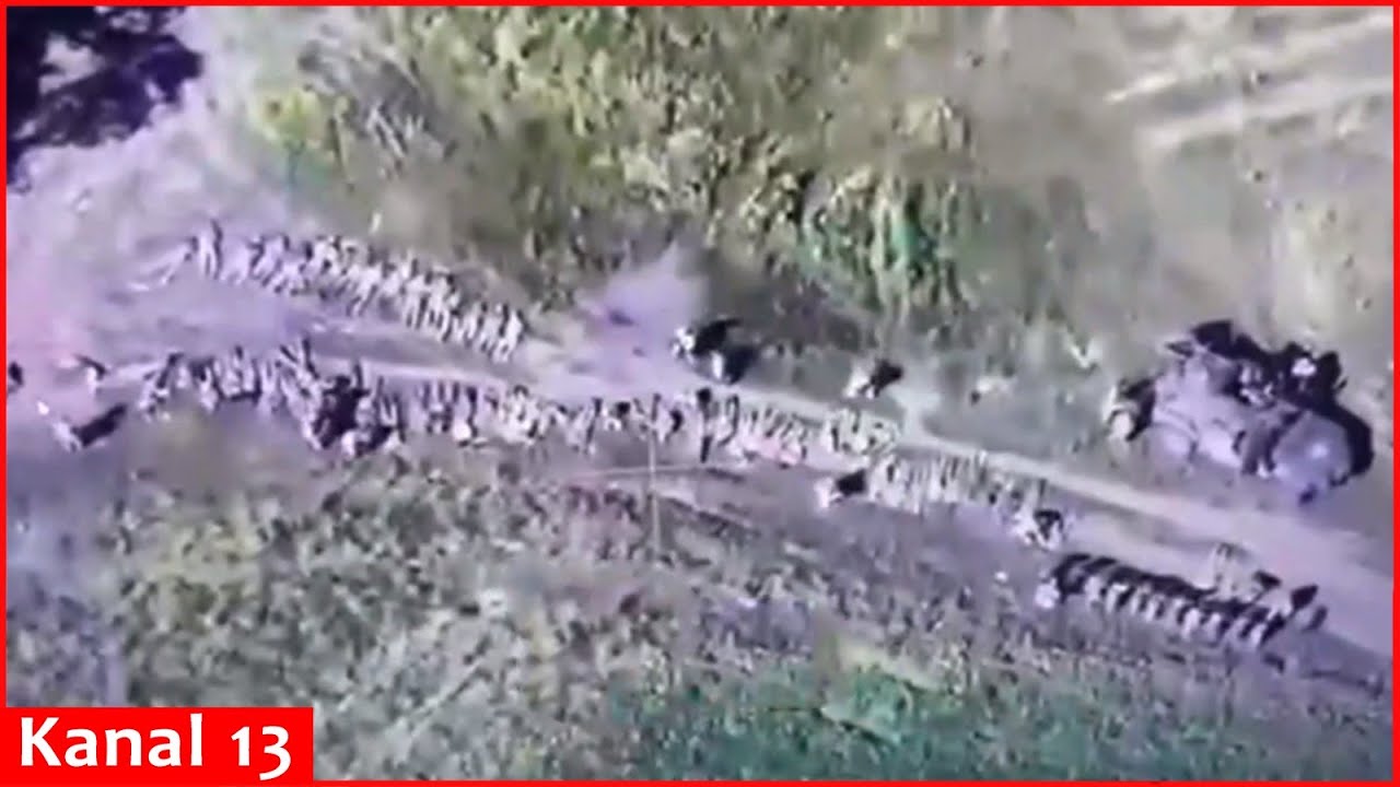 Black day for Russian Army in Kursk, it will not be possible to surrender