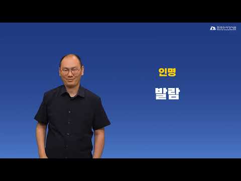 발람 수어