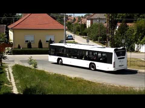 73Y-ok Tápén (IDY-765, NKG-735, NKG-743)