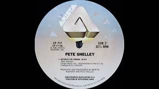 Pete Shelley - Witness the Change (Dub Version)