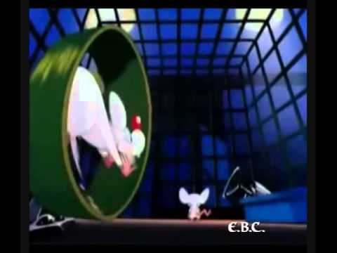 download lagu mp3 mp4 Kinderlieder Tv Serien, download mp3 Kinderlieder Tv Serien free downloadn, video klip Kinderlieder Tv Serien