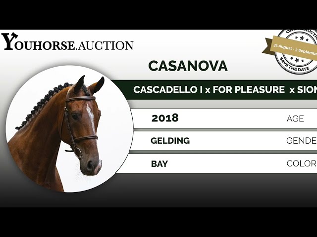 Casanova