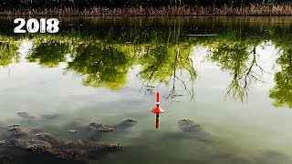 Ловля карася в октябре на реке