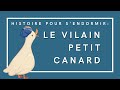 Le Vilain Petit Canard Histoire Pour S Endormir