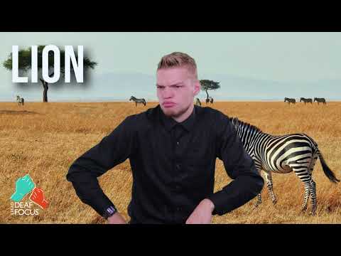 Visualizing Animals with Ari