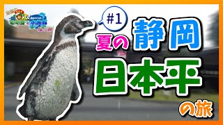 【全国の動物園と水族館巡り旅】#1　夏の静岡・日本平の旅　～日本平動物園～