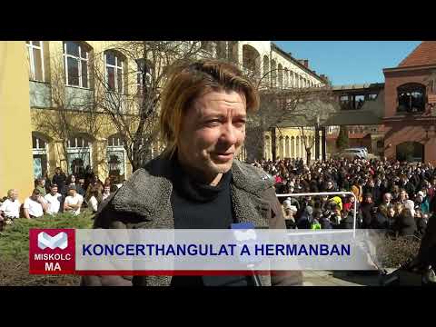 Videó előnézet