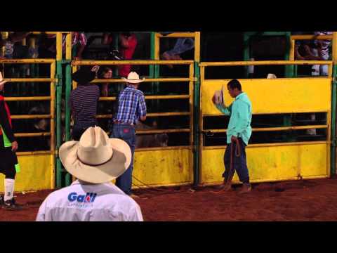 WAGUINHO ANIMAL NO RODEIO