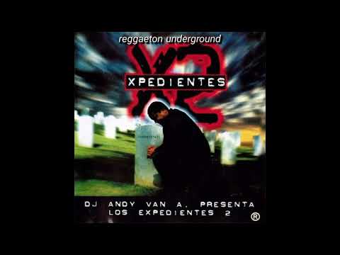 Goodfella ~ Perro mariflor