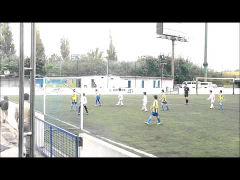 UDPF 4 - 7 Tojal