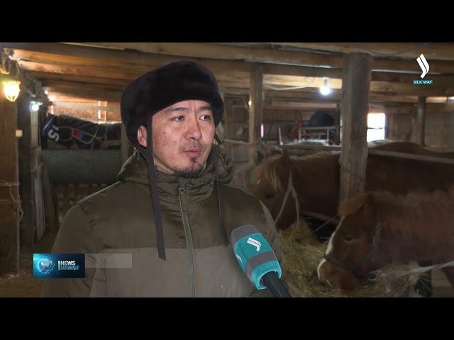 Растёт спрос на кумыс