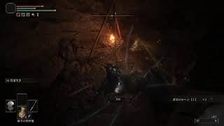 暇潰しエルデンリング垂れ流し【ELDEN RING(CS)】
